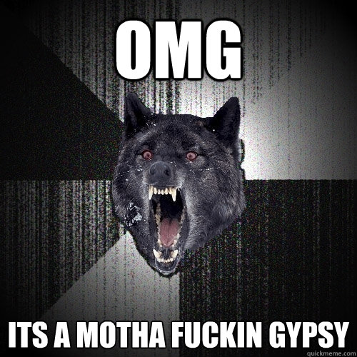 OMG ITS A MOTHA FUCKIN GYPSY  Insanity Wolf