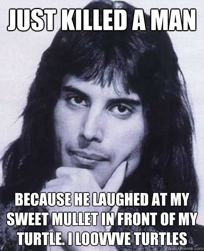 just killed a man BECAUSE HE LAUGHED AT MY SWEET MULLET IN FRONT OF MY TURTLE. I LOOVVVE TURTLES  Good Guy Freddie Mercury