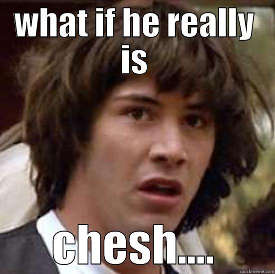 what if - WHAT IF HE REALLY IS CHESH.... conspiracy keanu