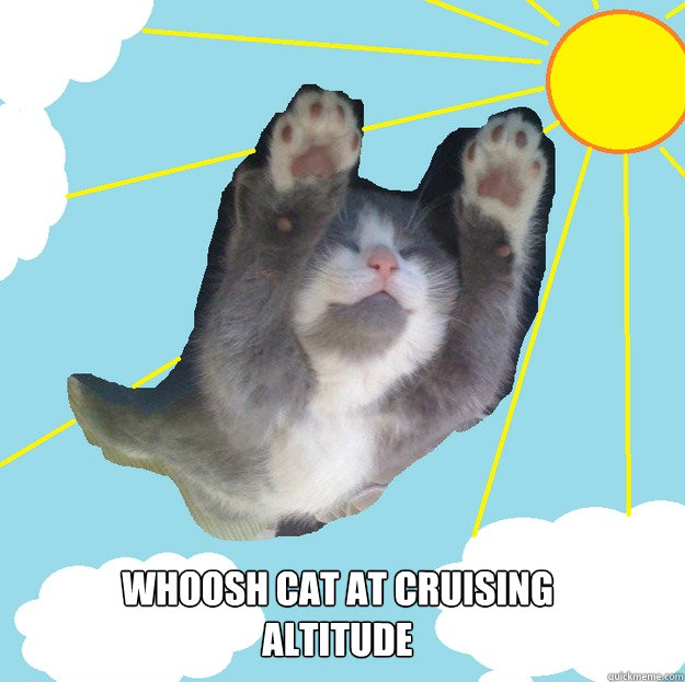 Whoosh cat at cruising altitude  Whoosh cat