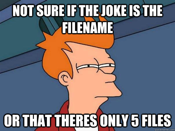 Not sure if the joke is the filename or that theres only 5 files  Futurama Fry