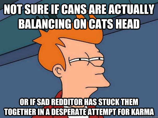 not sure if cans are actually balancing on cats head or if sad redditor has stuck them together in a desperate attempt for karma  Futurama Fry