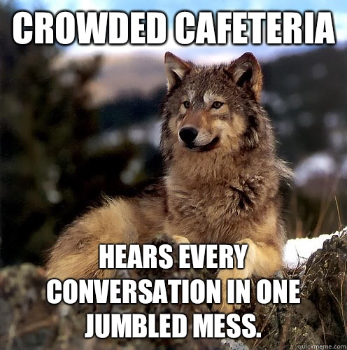 Crowded cafeteria Hears every conversation in one jumbled mess.  Aspie Wolf