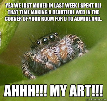 yea we just moved in last week i spent all that time making a beautiful web in the corner of your room for u to admire and.. ahhh!!! my art!!!  Misunderstood Spider