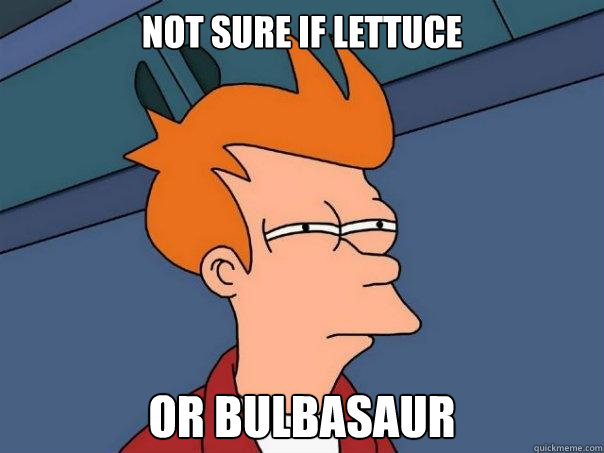 Not sure if Lettuce or bulbasaur  Futurama Fry