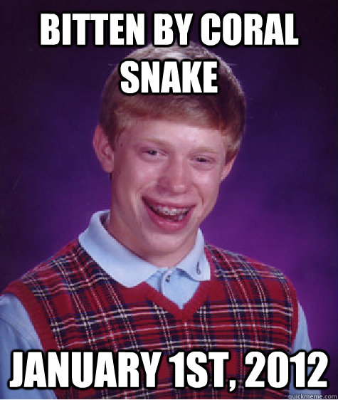 Bitten by Coral Snake January 1st, 2012 - Bitten by Coral Snake January 1st, 2012  Bad Luck Brian
