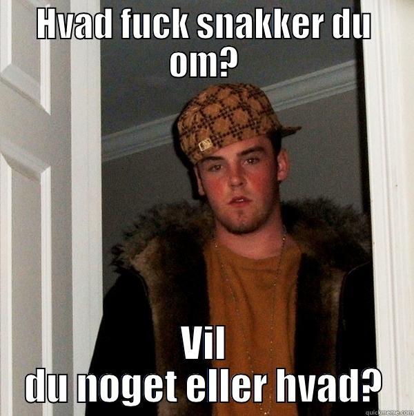 HVAD FUCK SNAKKER DU OM? VIL DU NOGET ELLER HVAD? Scumbag Steve