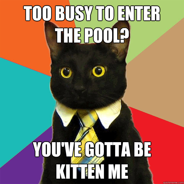 Too Busy to enter 
the pool? you've gotta be 
kitten me  Business Cat