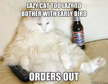 Lazy Cat too lazy to 
bother with early bird orders out  Lazy cat