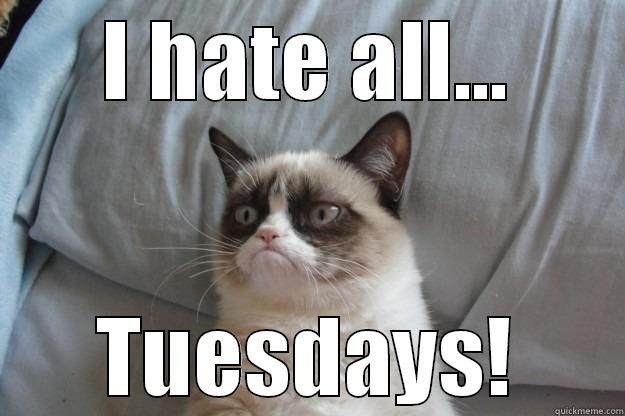 I hate Tuesdays - I HATE ALL... TUESDAYS! Grumpy Cat