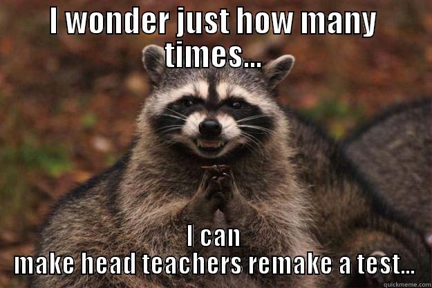 I WONDER JUST HOW MANY TIMES... I CAN MAKE HEAD TEACHERS REMAKE A TEST... Evil Plotting Raccoon