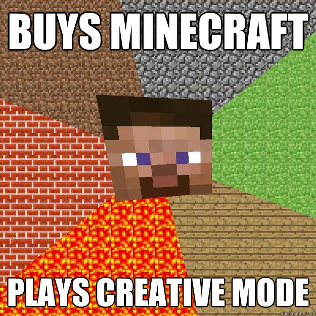 buys minecraft plays creative mode  Minecraft