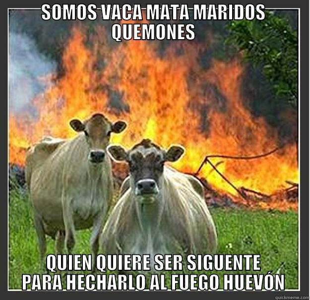 SOMOS VACA MATA MARIDOS QUEMONES QUIEN QUIERE SER SIGUENTE PARA HECHARLO AL FUEGO HUEVÓN Evil cows