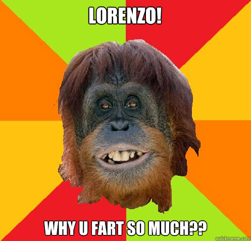 LORENZO! why u fart so much??  Culturally Oblivious Orangutan