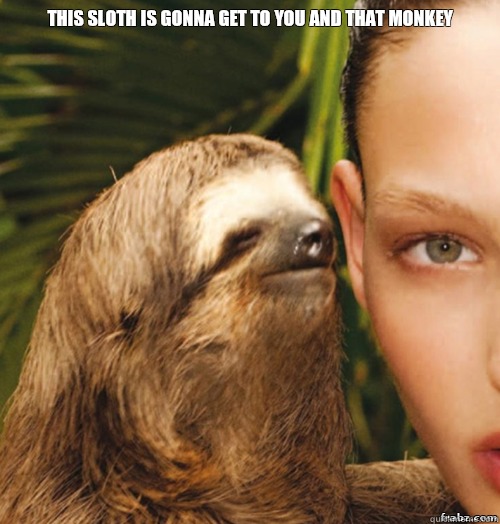 This sloth is gonna get to you and that monkey   rape sloth