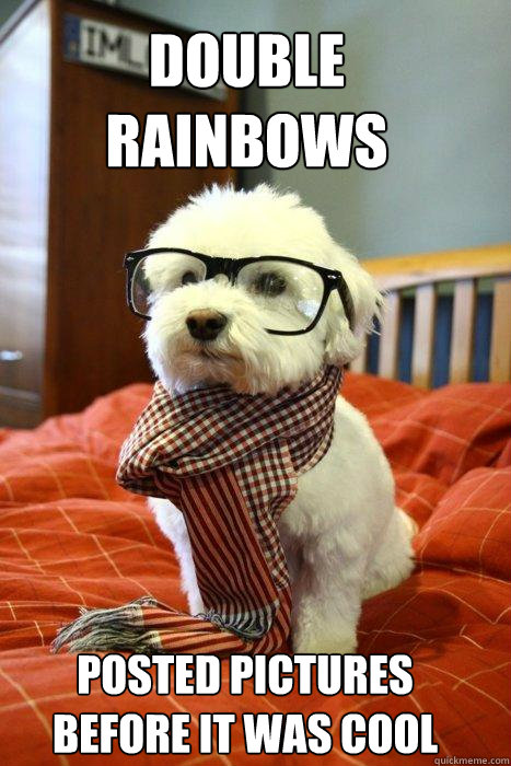 Double Rainbows Posted Pictures before it was cool  Hipster Dog