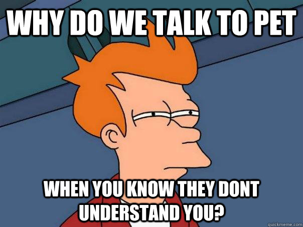 why do we talk to pet when you know they dont understand you?  Futurama Fry