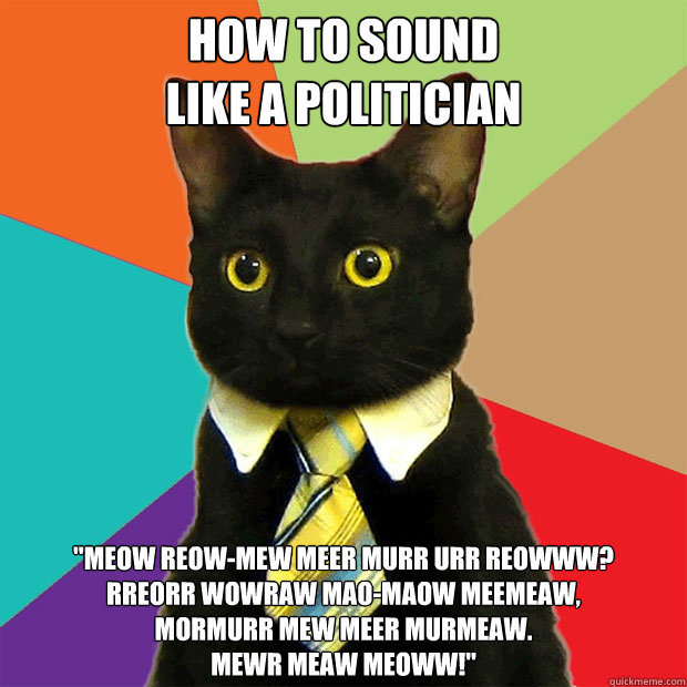 how to sound
like a politician 