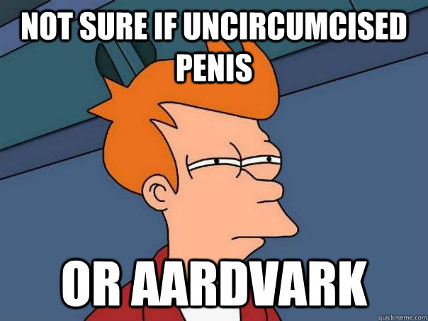 Not sure if uncircumcised penis or aardvark  Futurama Fry