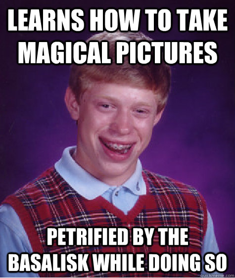 Learns how to take magical pictures petrified by the basalisk while doing so  Bad Luck Brian