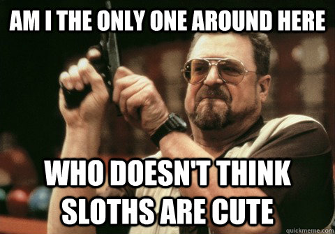 Am I the only one around here Who doesn't think sloths are cute - Am I the only one around here Who doesn't think sloths are cute  Am I the only one
