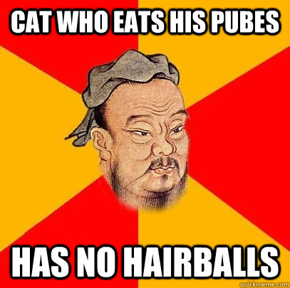 Cat who eats his pubes Has no hairballs - Cat who eats his pubes Has no hairballs  Confucius says