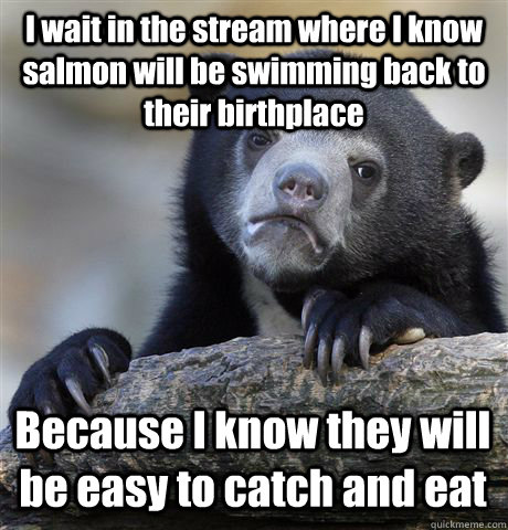 I wait in the stream where I know salmon will be swimming back to their birthplace Because I know they will be easy to catch and eat  Confession Bear