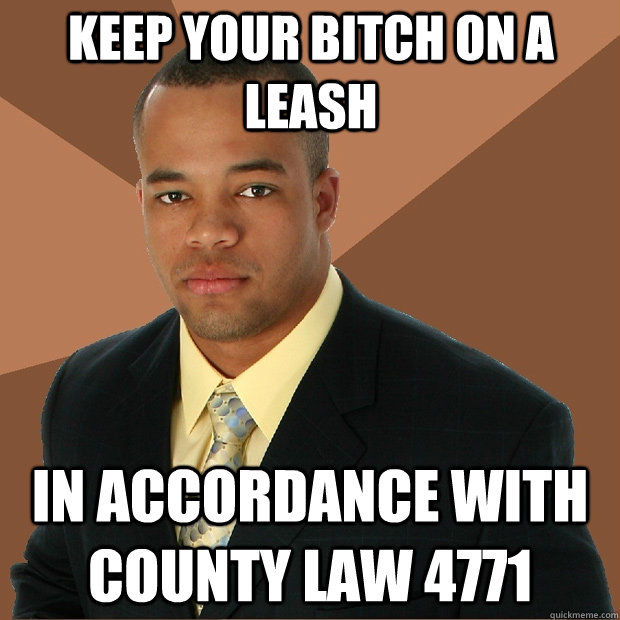 keep your bitch on a leash in accordance with county law 4771  Successful Black Man