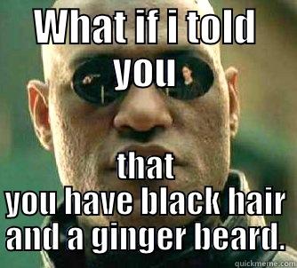 something somthing - WHAT IF I TOLD YOU THAT YOU HAVE BLACK HAIR AND A GINGER BEARD. Matrix Morpheus