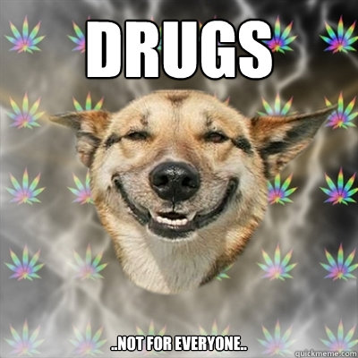 Drugs ..not for everyone..  Stoner Dog