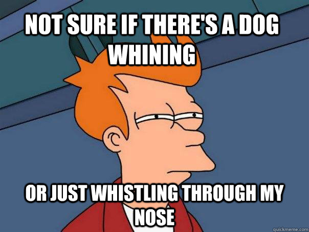 Not sure if there's a dog whining Or just whistling through my nose - Not sure if there's a dog whining Or just whistling through my nose  Futurama Fry