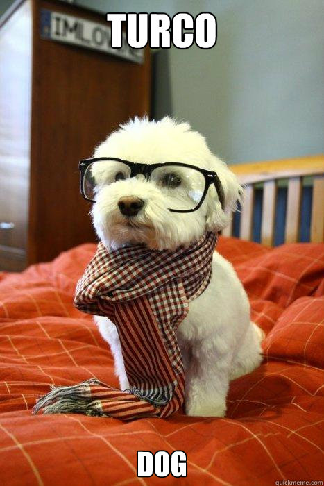 turco dog
  Hipster Dog