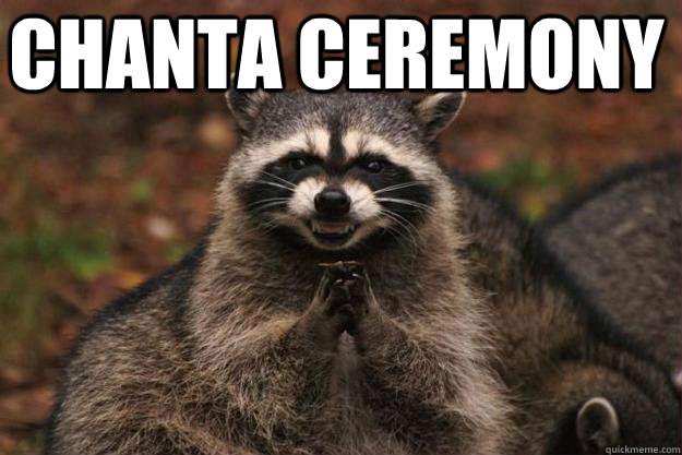 Chanta Ceremony  Evil Plotting Raccoon