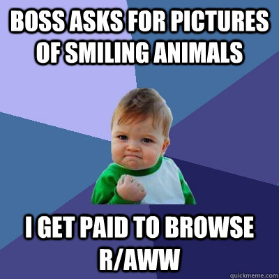 Boss asks for pictures of smiling animals I get paid to browse r/aww  Success Kid