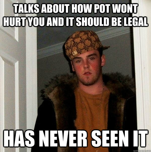 talks about how pot wont hurt you and it should be legal has never seen it  Scumbag Steve