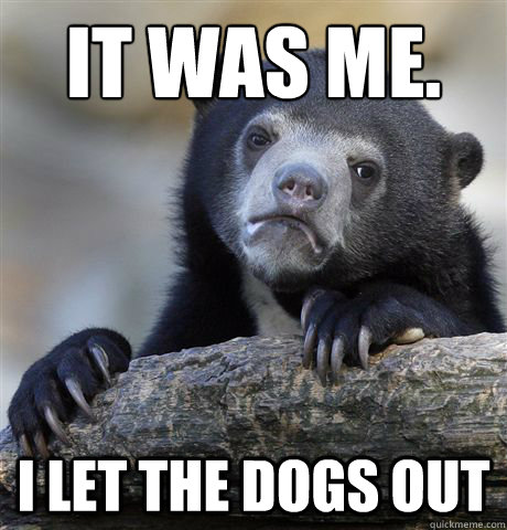 It was me. i let the dogs out  Confession Bear