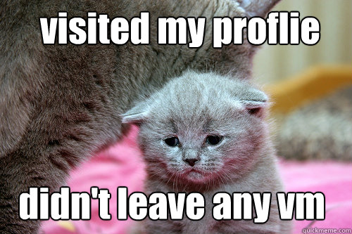 visited my proflie didn't leave any vm - visited my proflie didn't leave any vm  i has a sad lolcat