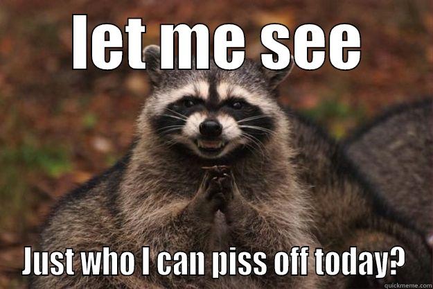  LET ME SEE JUST WHO I CAN PISS OFF TODAY? Evil Plotting Raccoon