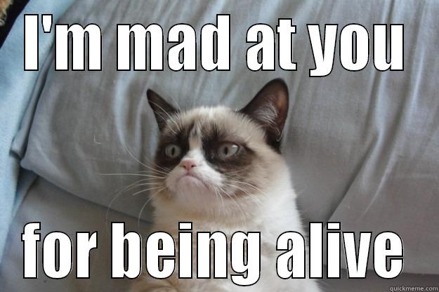 I'M MAD AT YOU FOR BEING ALIVE Grumpy Cat