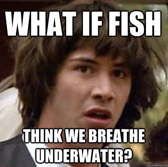 what if fish think we breathe underwater? - what if fish think we breathe underwater?  conspiracy keanu