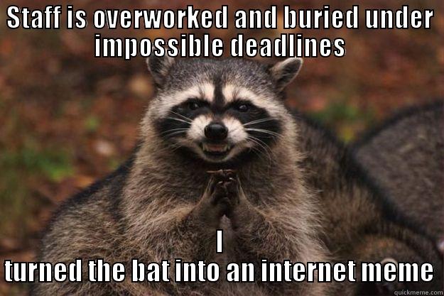 STAFF IS OVERWORKED AND BURIED UNDER IMPOSSIBLE DEADLINES I TURNED THE BAT INTO AN INTERNET MEME Evil Plotting Raccoon