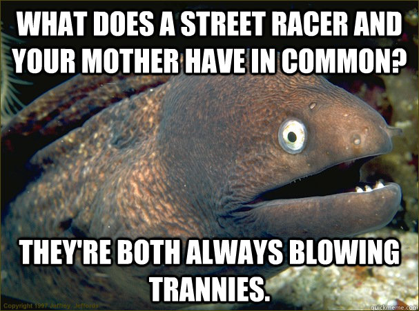 What does a street racer and your mother have in common? They're both always blowing trannies.   Bad Joke Eel