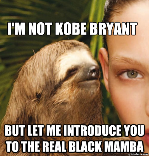 I'm not Kobe Bryant But let me introduce you to the real Black Mamba  rape sloth