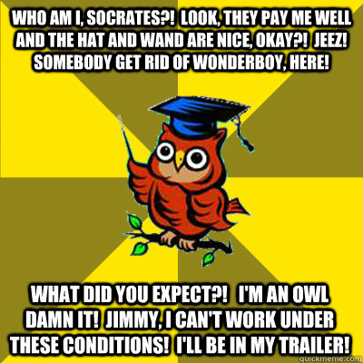 Who am I, Socrates?!  Look, they pay me well and the hat and wand are nice, Okay?!  Jeez! Somebody get rid of Wonderboy, here! What did you expect?!   I'm an owl Damn it!  Jimmy, I can't work under these conditions!  I'll be in my trailer! - Who am I, Socrates?!  Look, they pay me well and the hat and wand are nice, Okay?!  Jeez! Somebody get rid of Wonderboy, here! What did you expect?!   I'm an owl Damn it!  Jimmy, I can't work under these conditions!  I'll be in my trailer!  Observational Owl