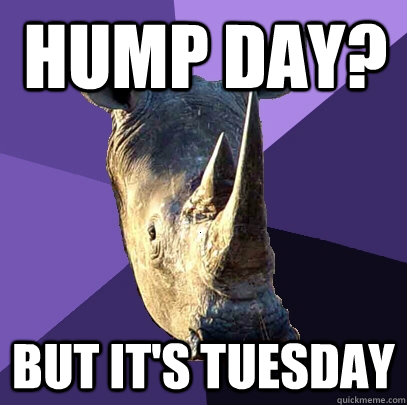 hump day? But it's tuesday  Sexually Oblivious Rhino