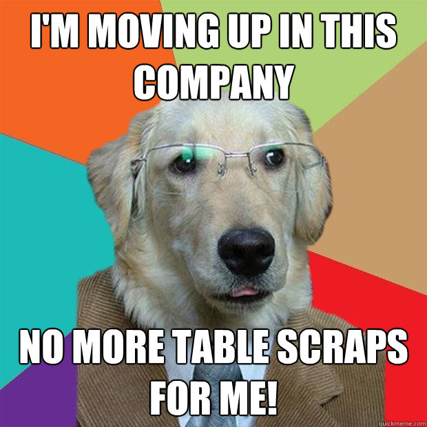 I'm moving up in this company no more table scraps for me!  Business Dog