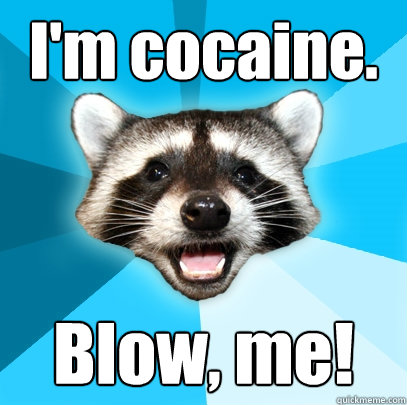 I'm cocaine. Blow, me!  Lame Pun Coon