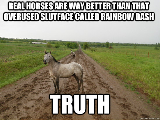 Real horses are way better than that overused slutface called rainbow dash Truth - Real horses are way better than that overused slutface called rainbow dash Truth  Anti-MLP Pony