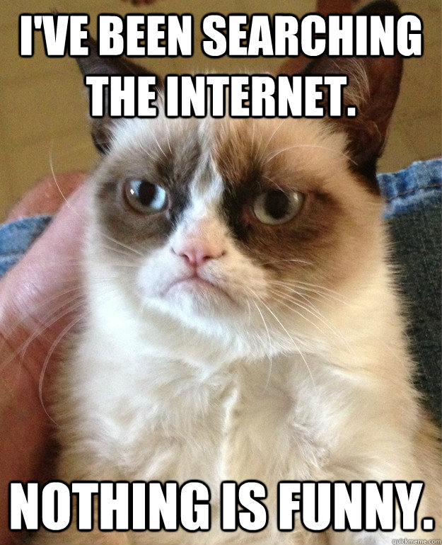 I've been searching the internet. nothing is funny. - I've been searching the internet. nothing is funny.  Grumpy Cat