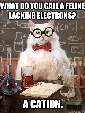 What do you call a feline lacking electrons? A cation. - What do you call a feline lacking electrons? A cation.  Chemistry Cat